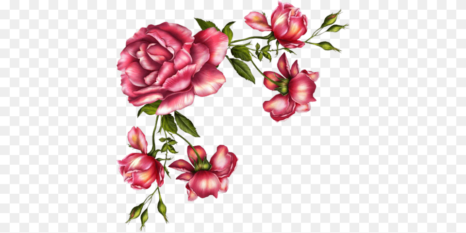 Imagens Para Decoupagem Rose Water Toner For Face And Neck, Plant, Petal, Flower, Pattern Png