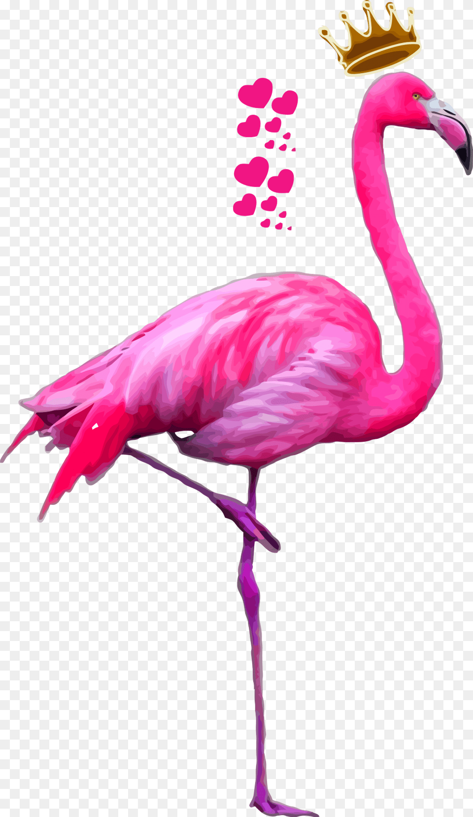 Imagens Tumblr Flamingo, Animal, Bird Png Image