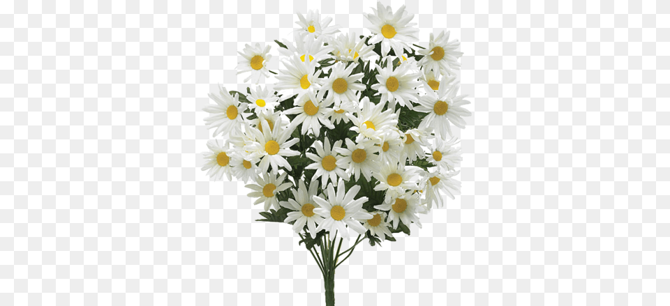 Images About Flower Flower Bouquet For Retirement, Daisy, Flower Arrangement, Flower Bouquet, Plant Png