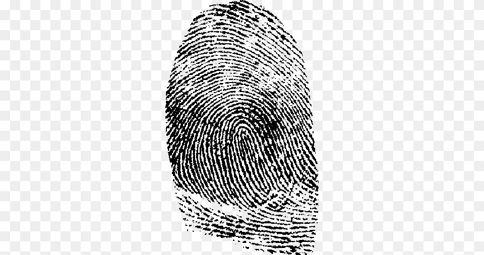 Images All Graphic Library Fingerprint Home Decor, Spiral, Rug, Coil Free Transparent Png