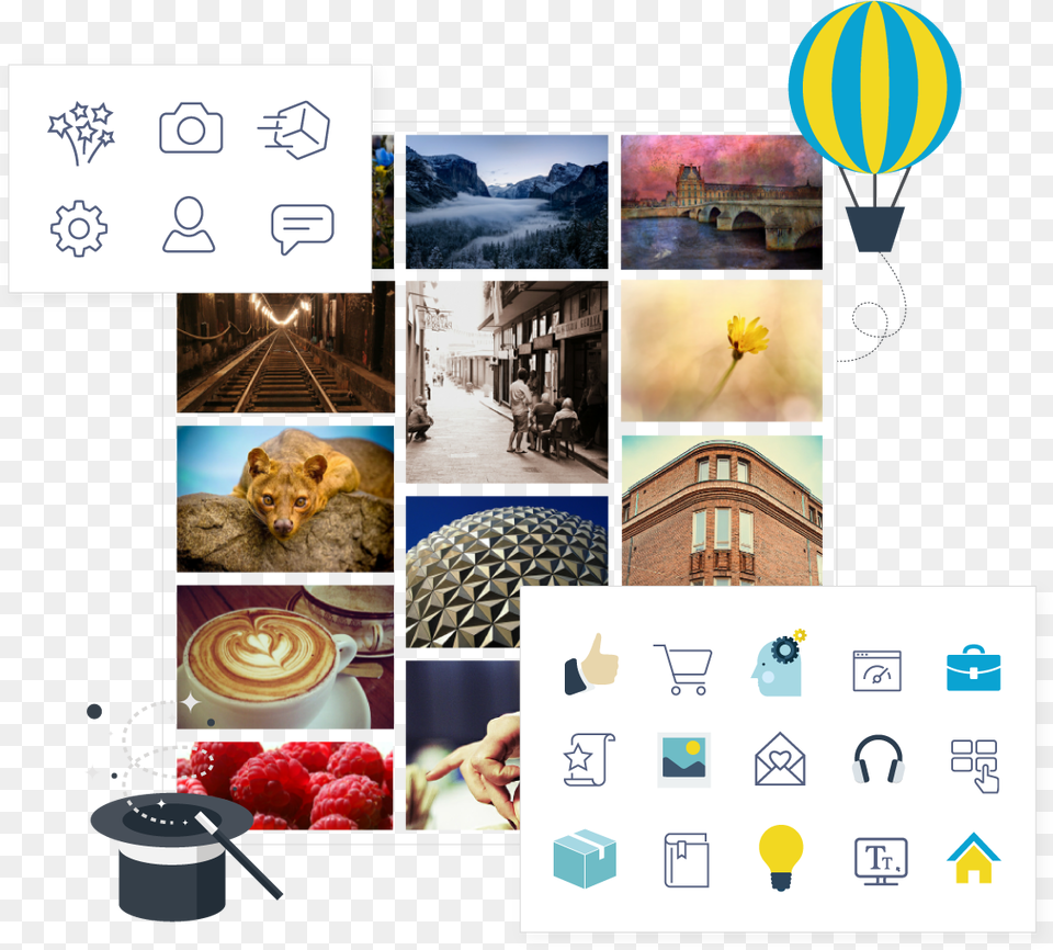 Images And Icons Hot Air Balloon, Animal, Raspberry, Produce, Plant Free Png Download