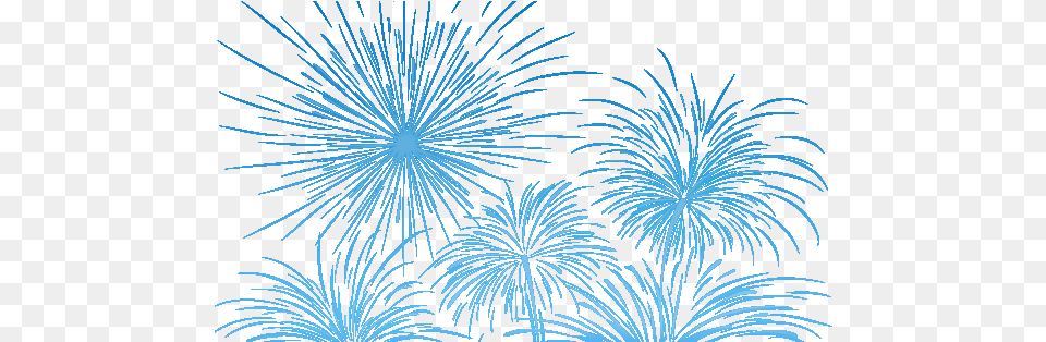 Images Blue Fireworks No Background, Plant Free Png
