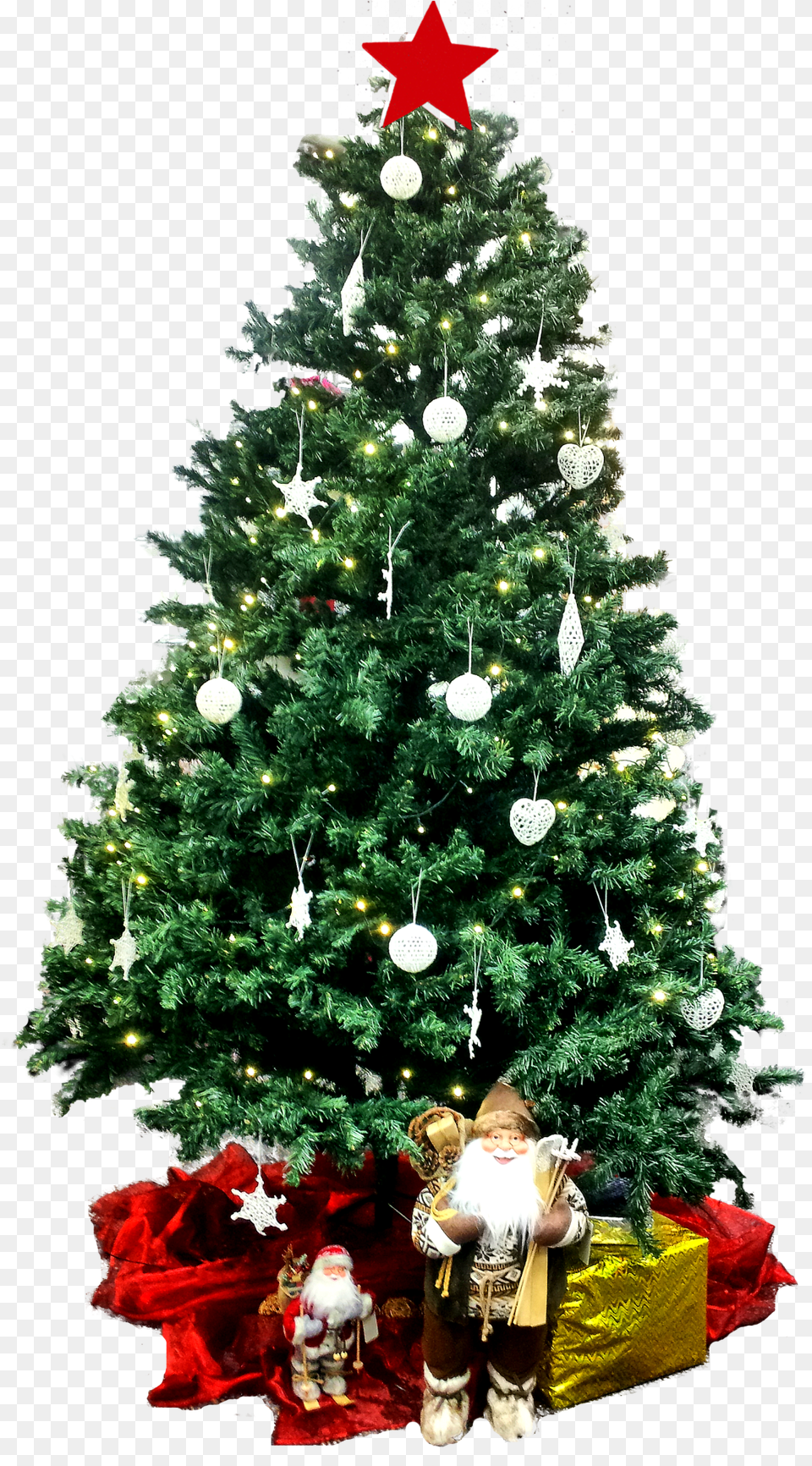 Images Clipart Photos Gratuites Libres De Droits Creative Christmas Eve Greeting, Tree, Plant, Person, Fir Png