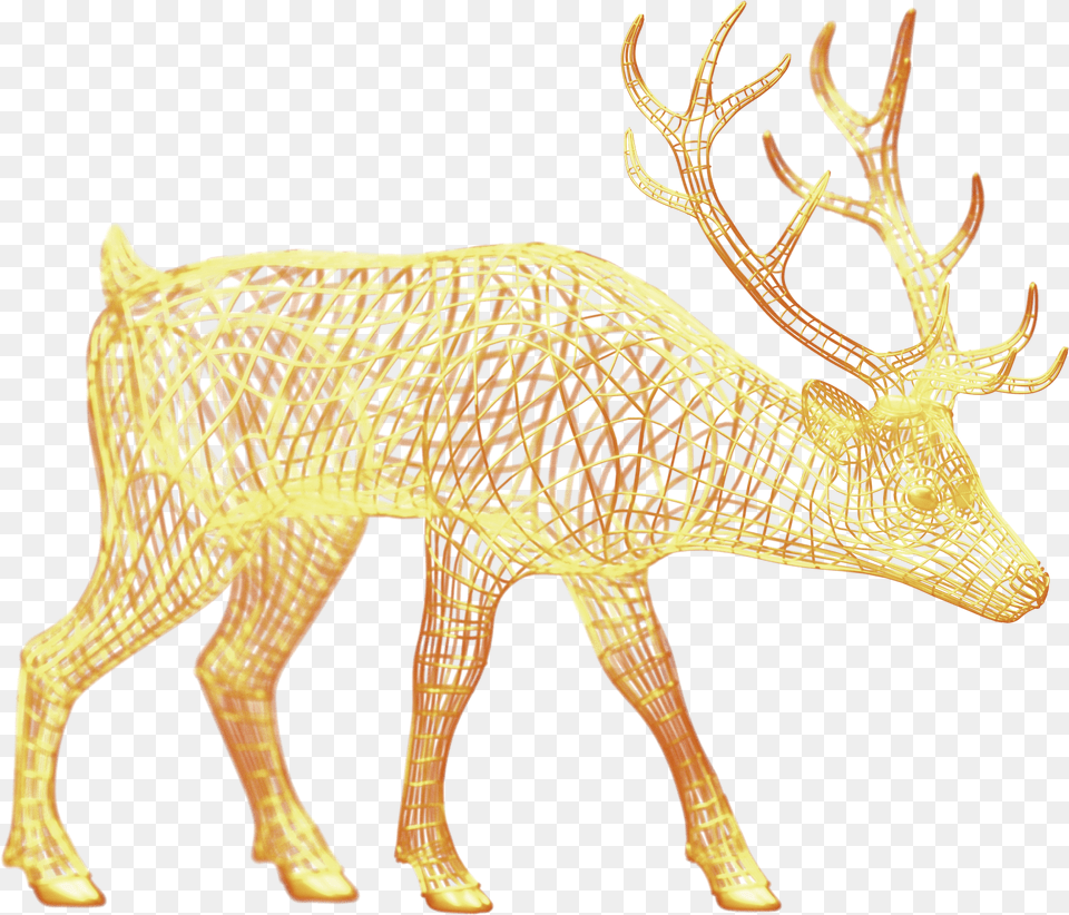 Images Ctfassets, Animal, Deer, Mammal, Wildlife Png