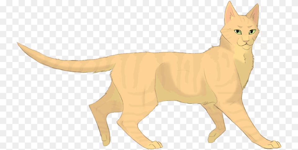 Images De Tempte De Sable Warrior Cats Sandstorm, Animal, Cat, Mammal, Pet Free Png Download