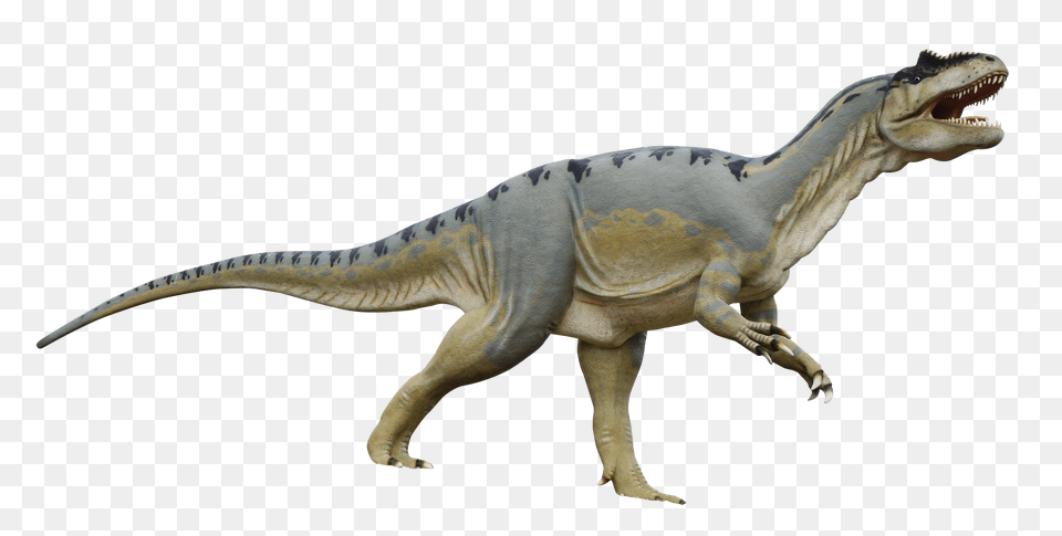 Images Dinosaur Image, Animal, Reptile, T-rex Free Transparent Png
