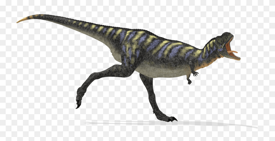 Images Dinosaur Transparent Image, Animal, Reptile, T-rex Free Png