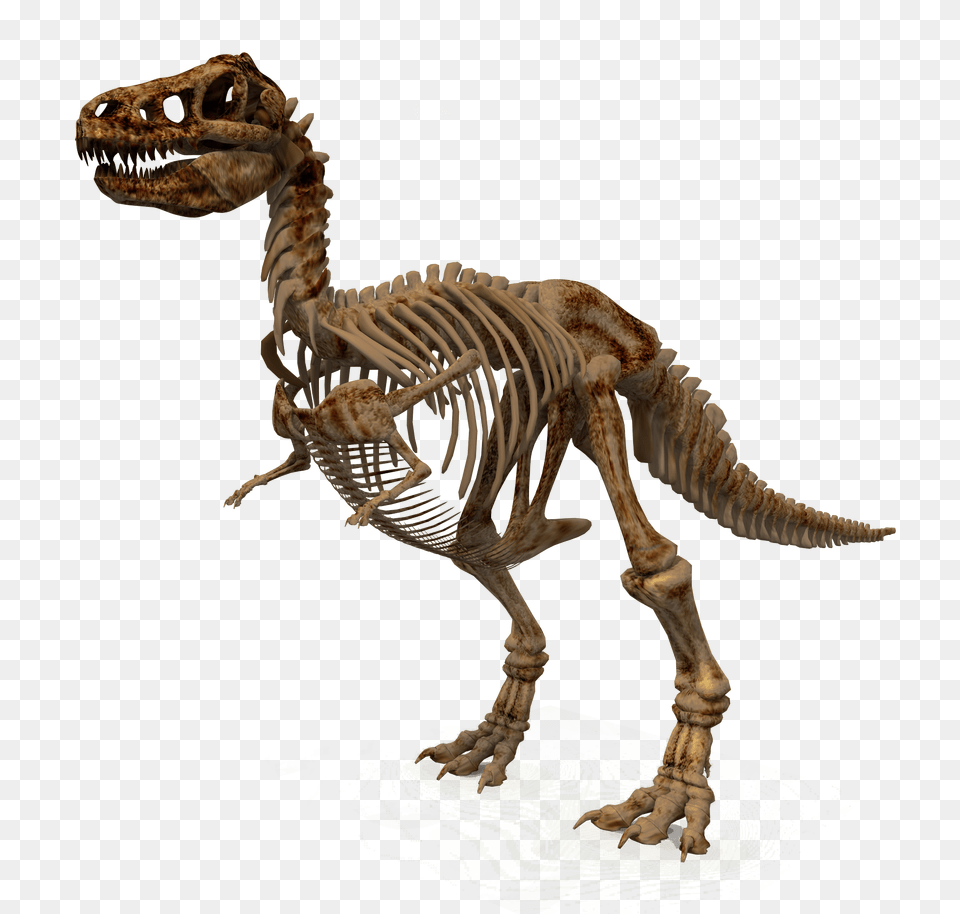 Images Dinosaur Transparent Animal, Reptile, T-rex Png Image