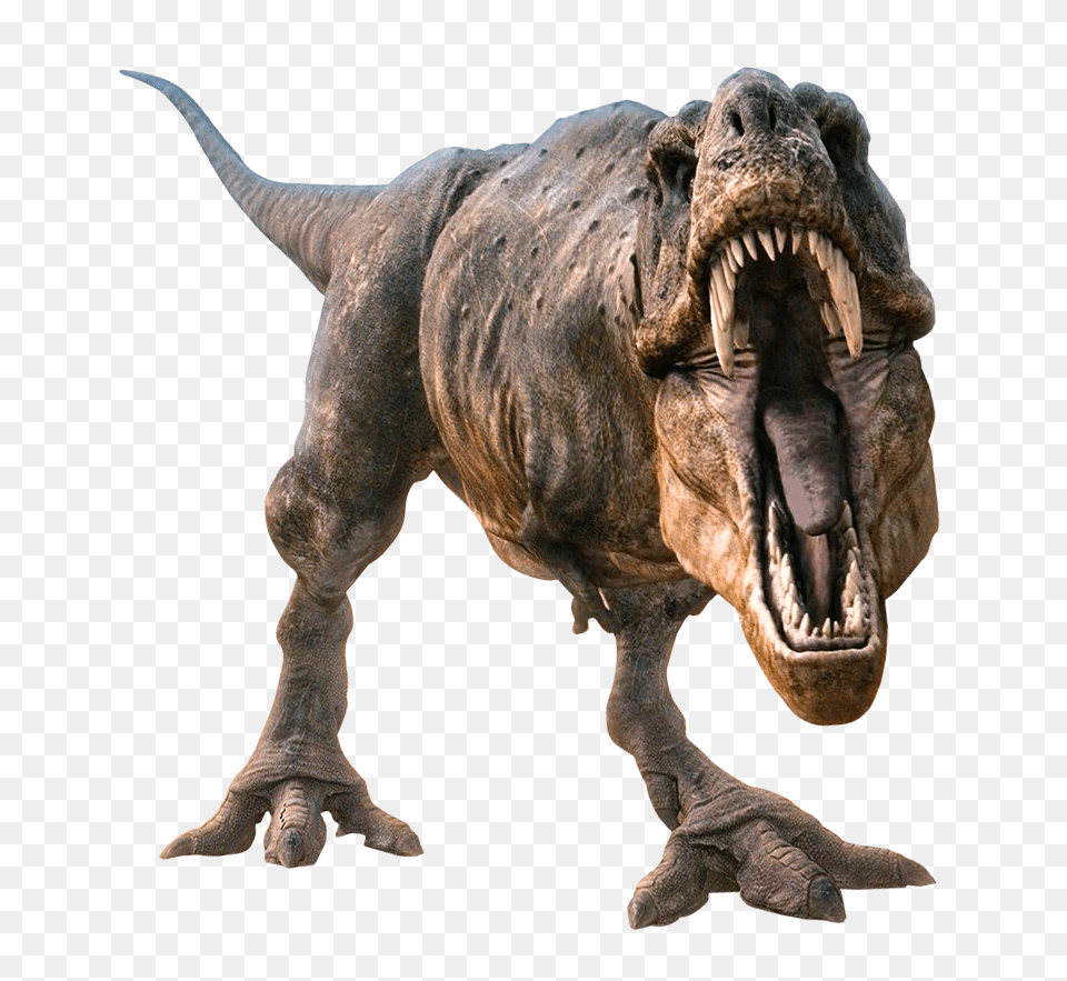 Images Dinosaur Transparent Image, Animal, Reptile, T-rex Png