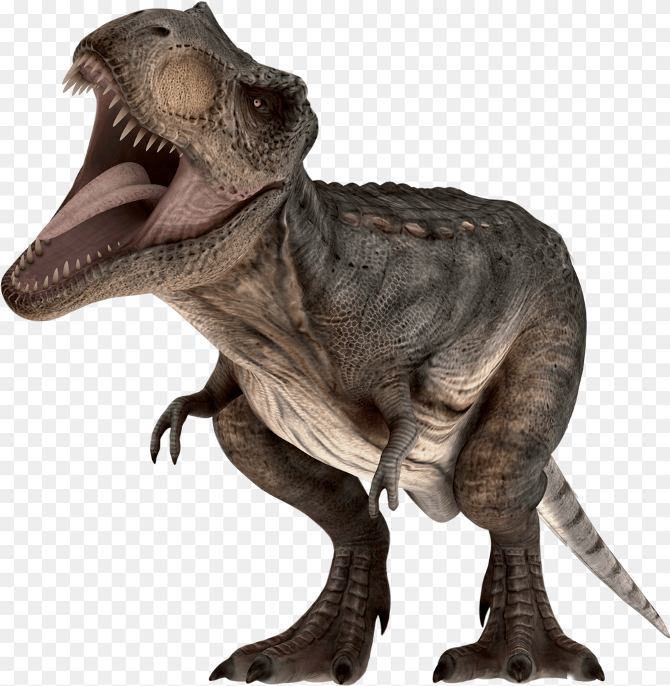 Images Dinossauros Jurassic Park, Animal, Dinosaur, Reptile, T-rex Png Image
