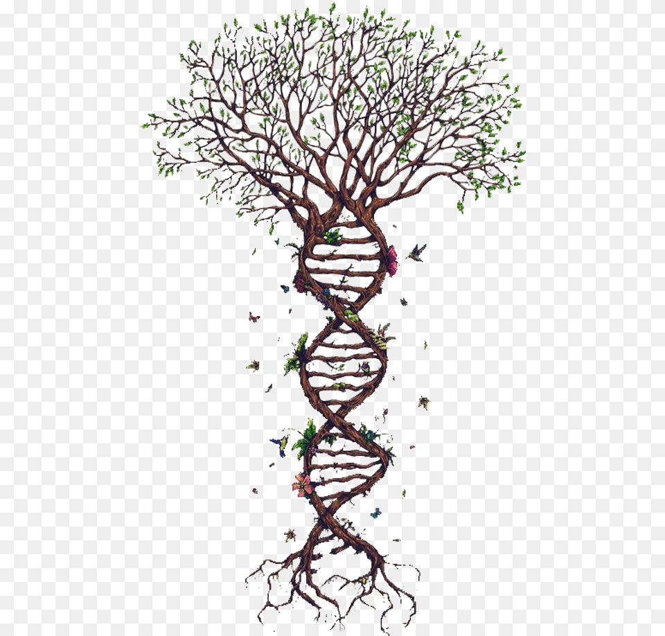 Images Dna Dna Strand Forensics Id Arbol Adn, Purple, Plant, Art, Paper Png Image