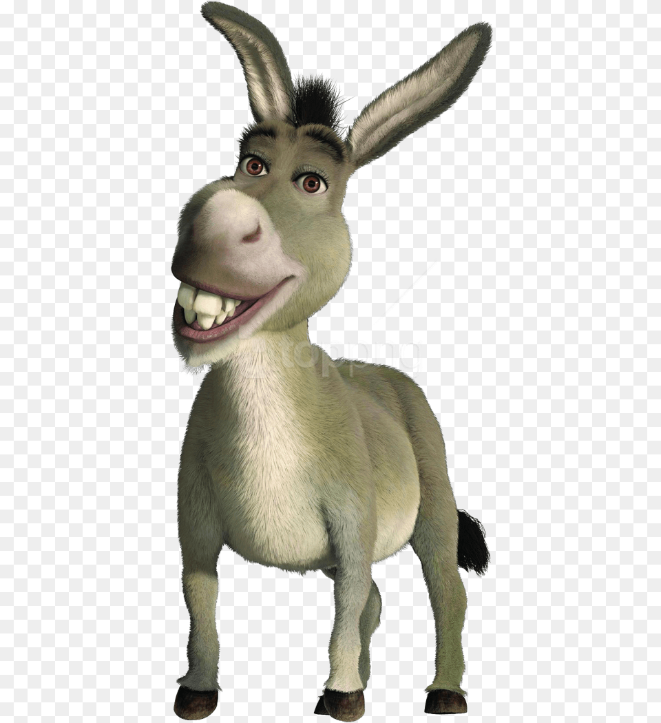 Images Donkey From Shrek, Animal, Mammal, Monkey, Wildlife Free Png Download