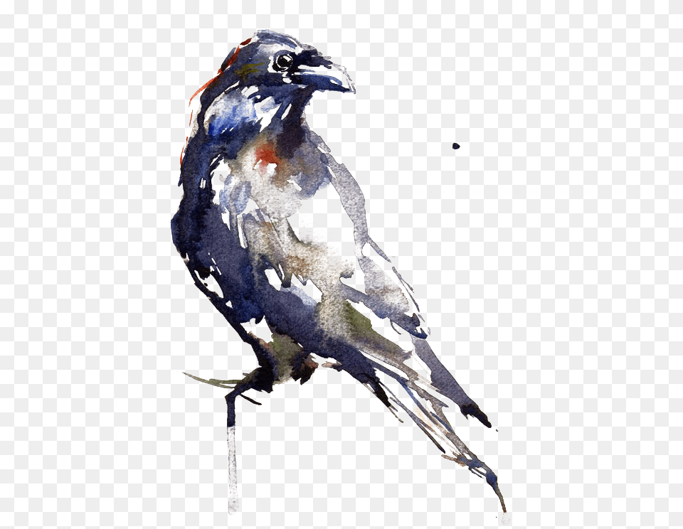 Images Eagle Raven In Watercolor, Animal, Beak, Bird, Jay Free Png