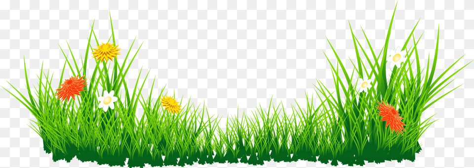 Images For Editing, Plant, Flower, Grass, Lawn Free Png