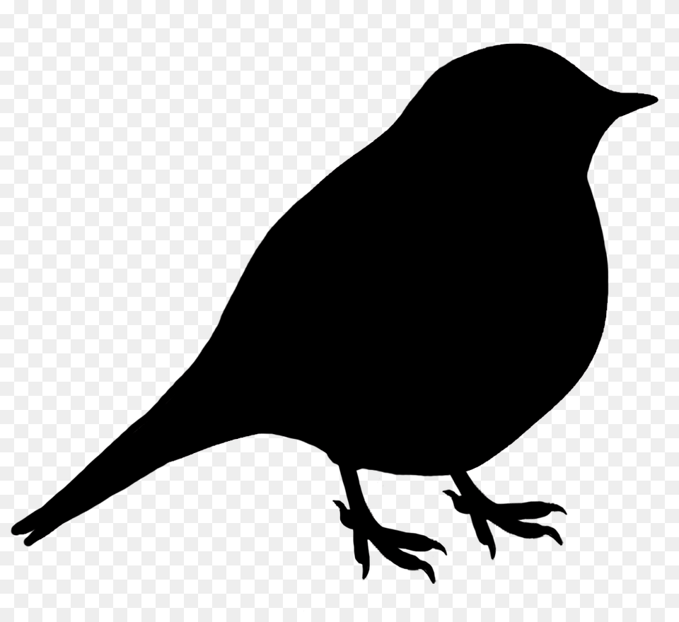 Images For Gt Sitting Birds Silhouette Printables, Animal, Bird, Blackbird, Stencil Png Image