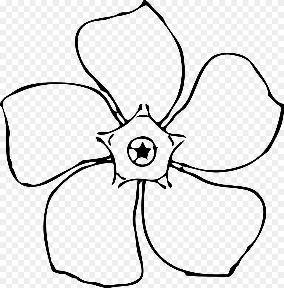 Images For Gt White Magnolia Flower Drawings Fun Time Activities, Petal, Plant, Anemone, Daffodil Free Transparent Png