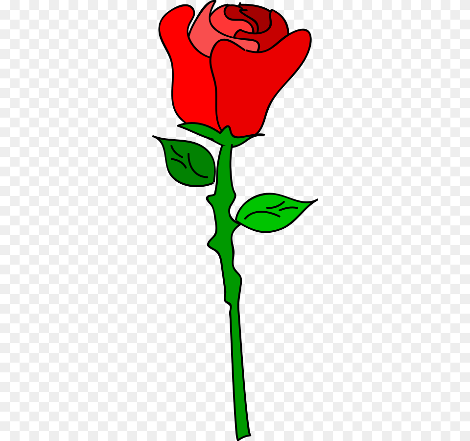 Images Of A Rose, Flower, Plant, Person Free Png