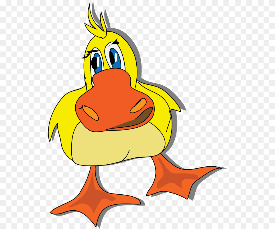 Images Of Duck Face Clip Art, Animal, Beak, Bird, Baby Free Transparent Png