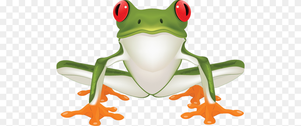 Images Of Frog, Amphibian, Animal, Wildlife, Tree Frog Png