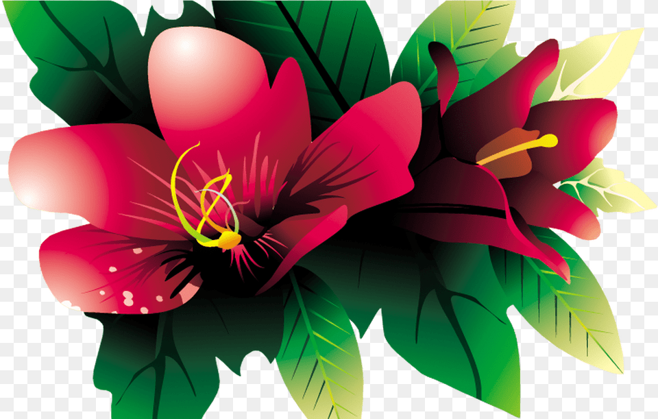 Images Of Tropical Flower Vines For On, Plant, Anther, Art, Graphics Free Png Download