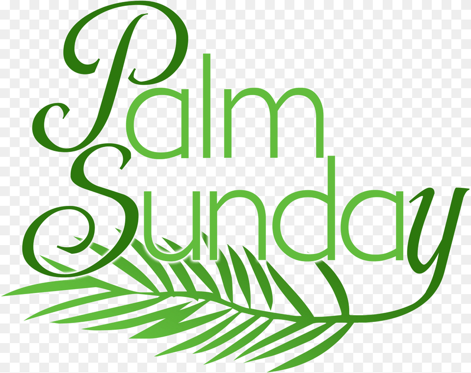 Images Palm Sunday Clipart Library Palm Sunday Clipart, Green, Herbal, Herbs, Leaf Free Png Download