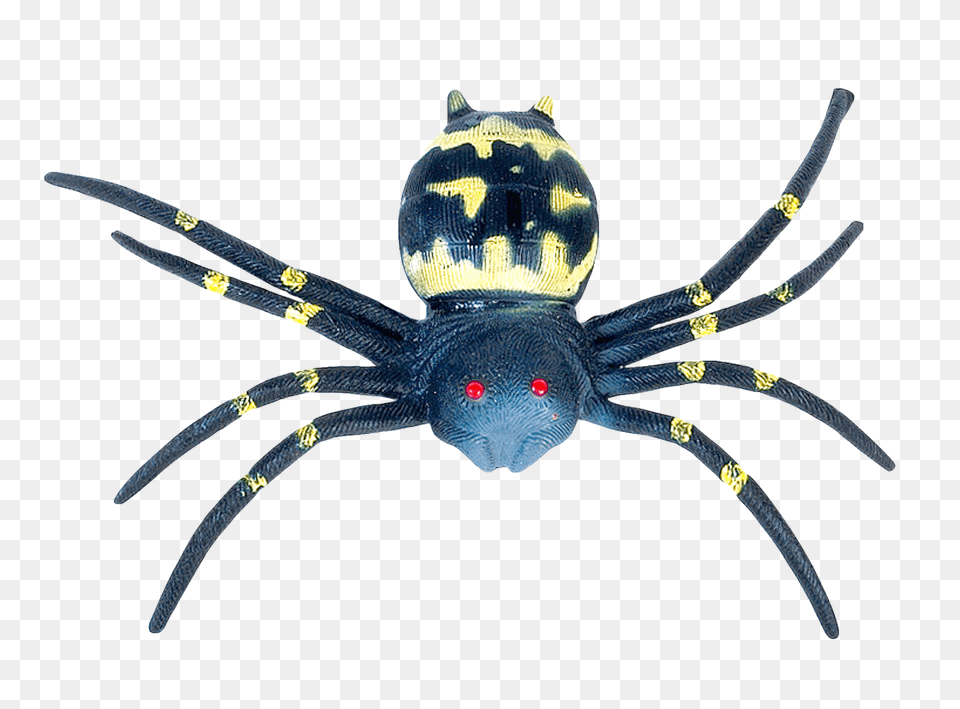 Images Spider Transparent Image, Animal, Invertebrate, Insect Free Png