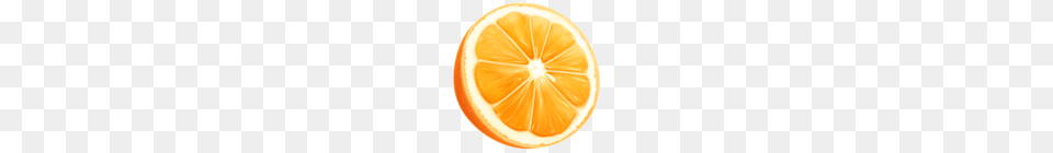 Images Tag Fruits, Citrus Fruit, Plant, Orange, Lemon Free Transparent Png