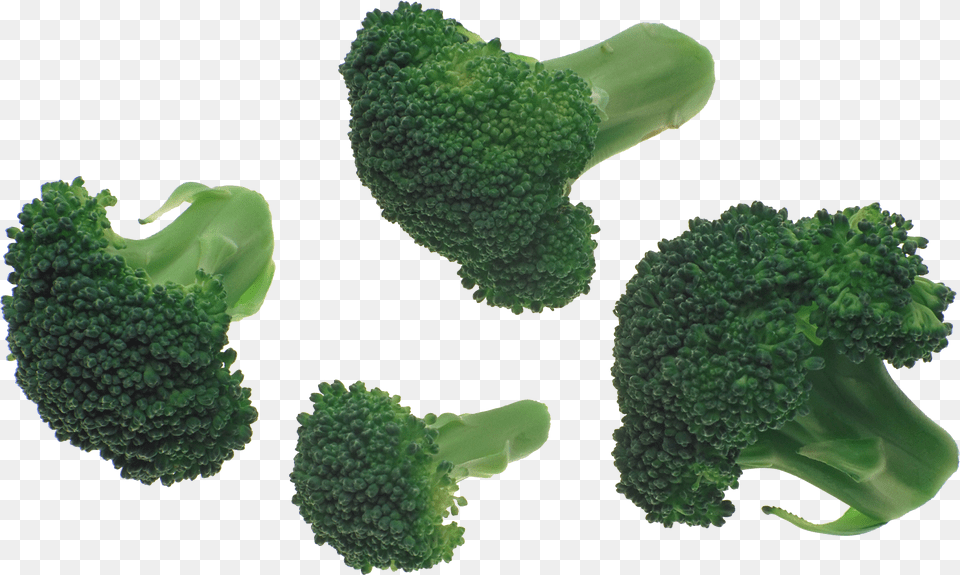 Images Transparent Background Broccoli, Device, Hammer, Tool, Piggy Bank Png