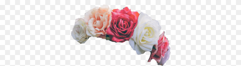 Images U0026 Vectors Graphics Psd Files Dlpngcom Background Flower Crown, Flower Arrangement, Flower Bouquet, Plant, Rose Free Png