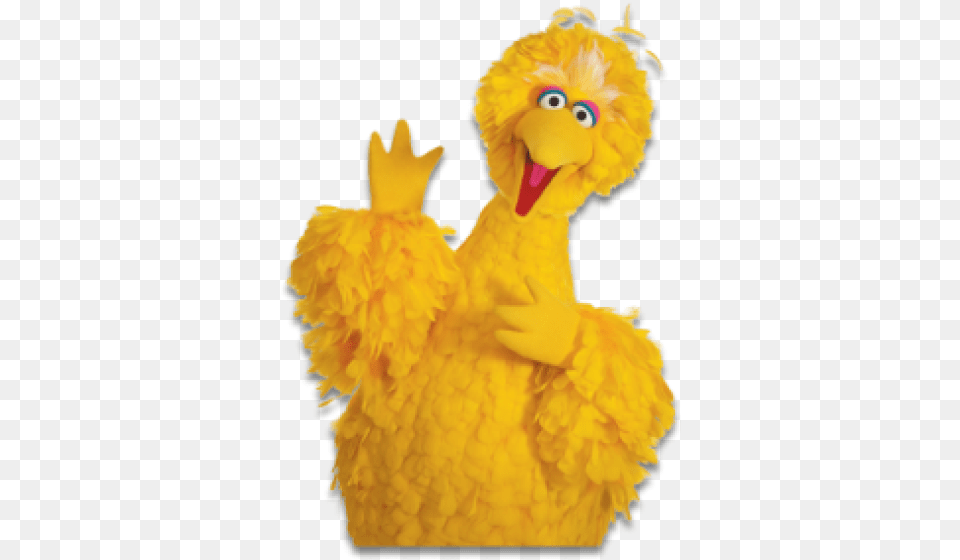 Images U0026 Vectors Graphics Psd Files Dlpngcom Big Bird Sesame Street, Plush, Toy, Baby, Person Free Transparent Png