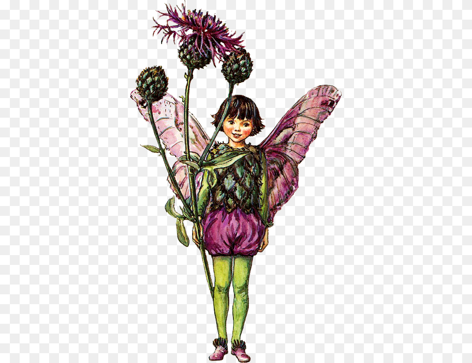 Images Vintage Flower Fairy, Adult, Plant, Person, Woman Free Transparent Png