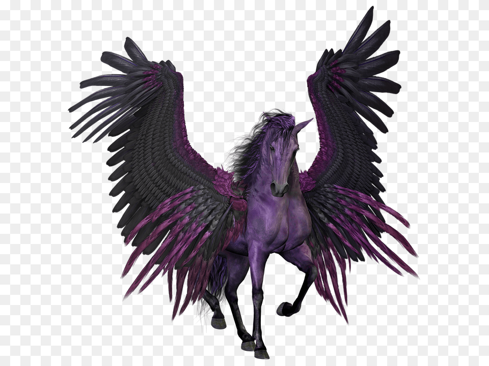 Images Vulturepng Snipstock Unicorn With Wings Real, Animal, Bird, Horse, Mammal Free Png