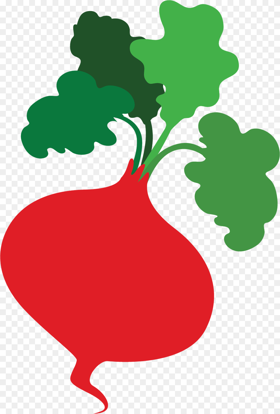 Imagini Banner Organic Food, Produce, Plant, Radish, Vegetable Free Transparent Png