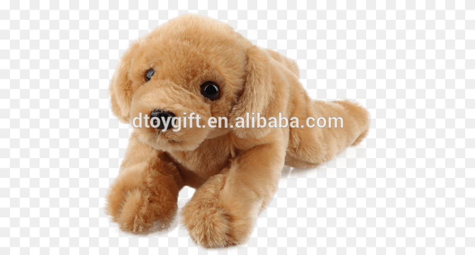 Img 0043 Stuffed Toy, Teddy Bear, Animal, Canine, Mammal Png