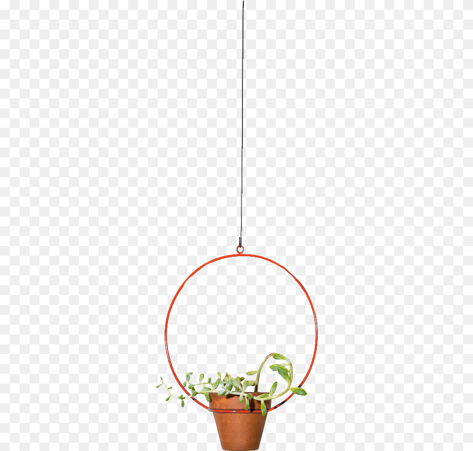 Img, Vase, Pottery, Jar, Potted Plant Png Image