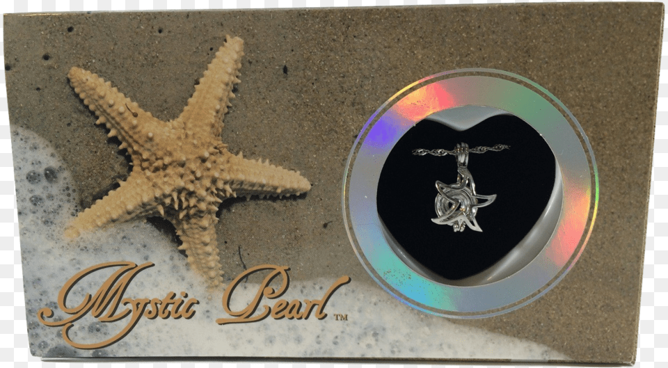 Img 5900 Burned Mystic Pearl Starfish Necklace, Animal, Lizard, Reptile, Sea Life Png Image