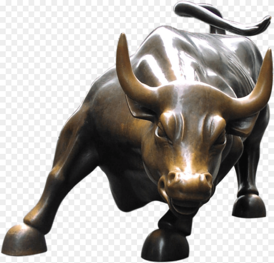 Img Charging Bull, Animal, Mammal, Buffalo, Wildlife Png