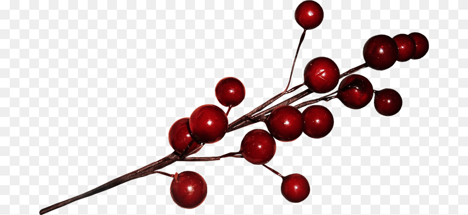 Img Cherry, Food, Fruit, Plant, Produce Free Transparent Png