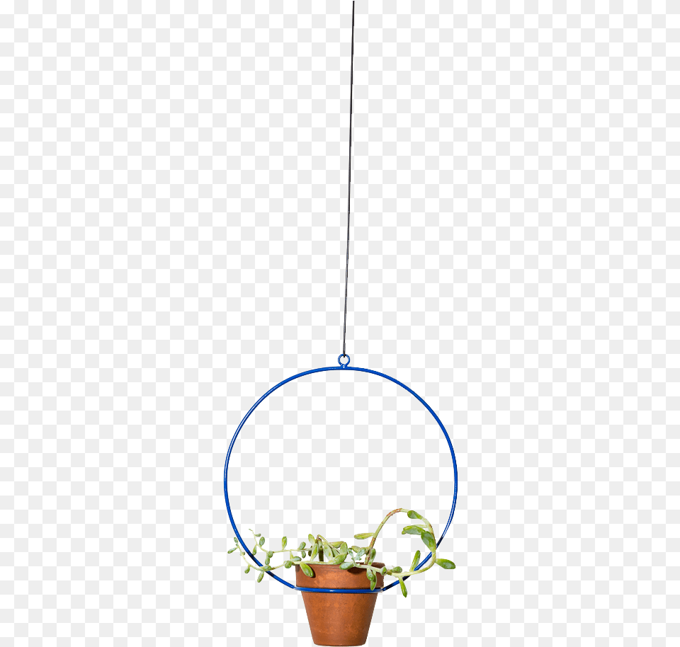 Img Circle, Plant, Potted Plant, Pottery, Jar Png