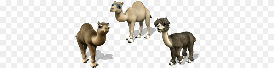 Img Farmerama Camel, Animal, Lion, Mammal, Wildlife Free Png