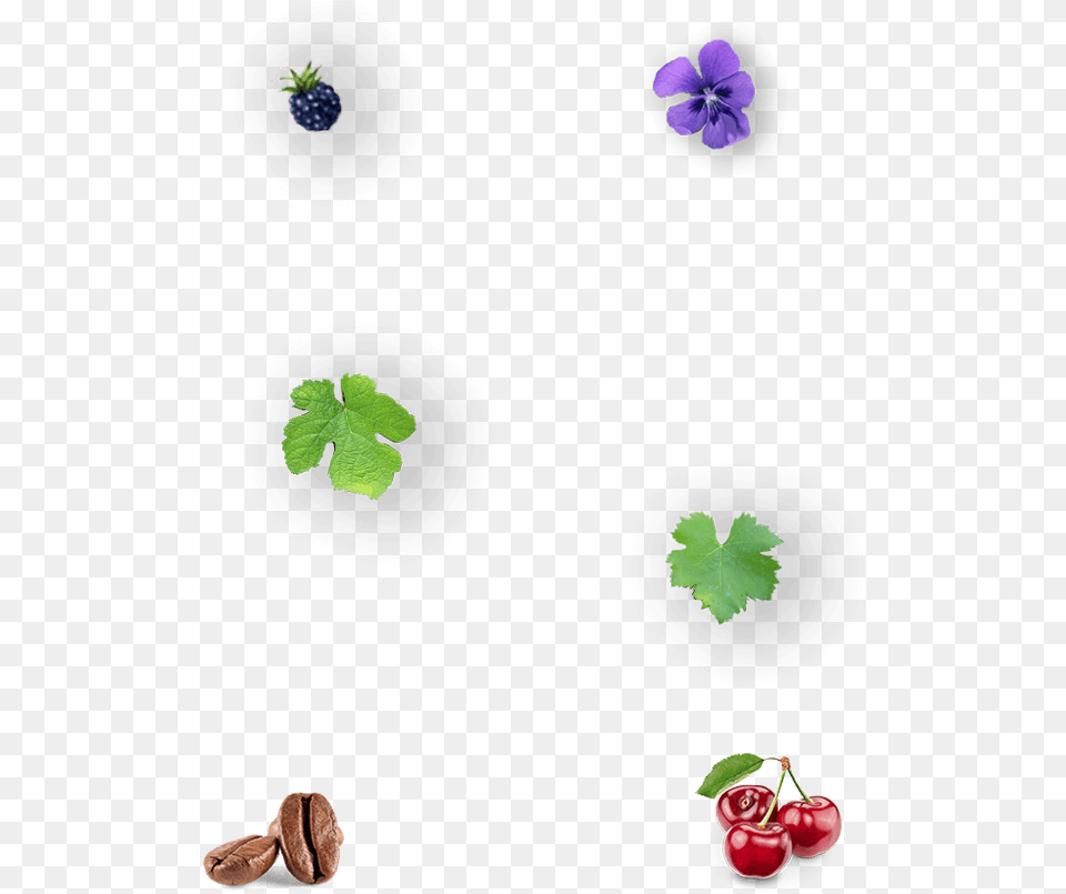 Img Gallina De Piel Viola, Food, Fruit, Plant, Produce Png
