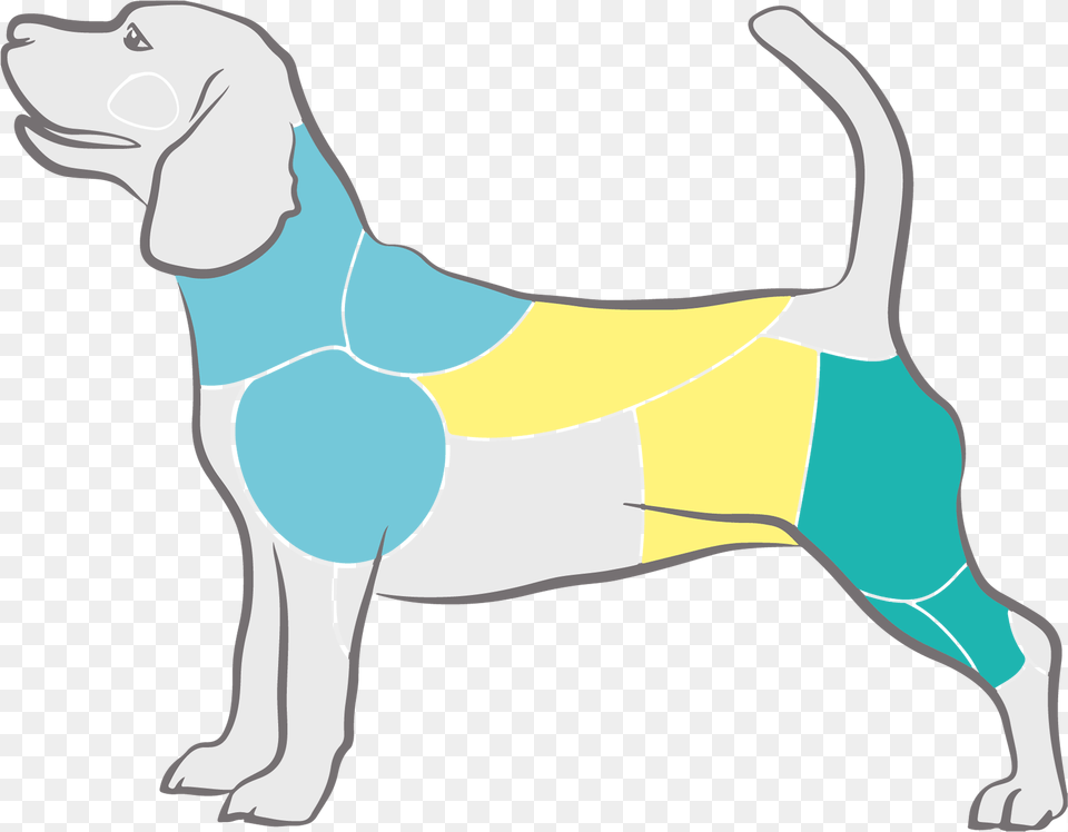 Img Harrier, Hound, Animal, Canine, Dog Free Png