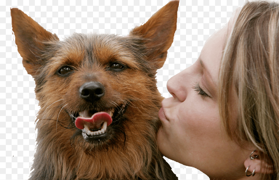 Img Kissing A Dog Free Png Download