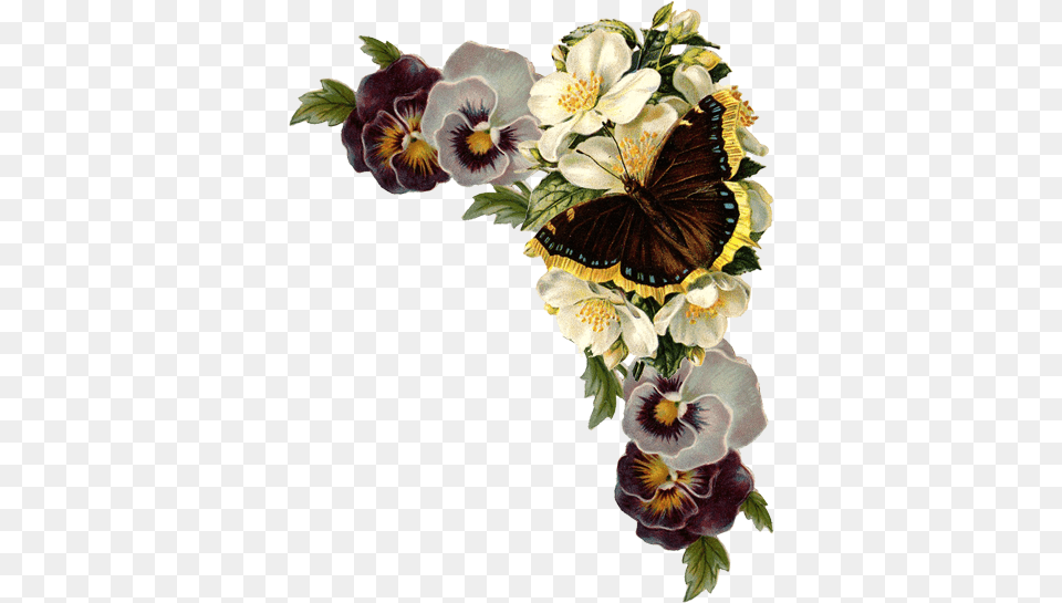 Img Laminas Para Decoupage Flores Esquinas, Flower, Plant, Petal, Flower Arrangement Free Png