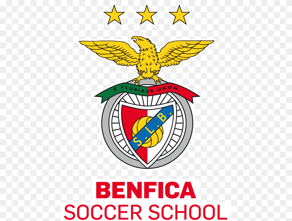 Img Logo Benfica Soccer School Washington Dc Logo, Emblem, Symbol, Animal, Bird Png