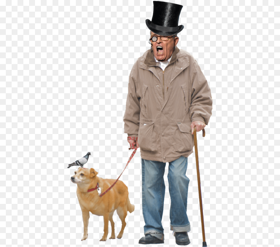 Img Man Walking Dog Transparent Background, Accessories, Strap, Person, Male Free Png Download