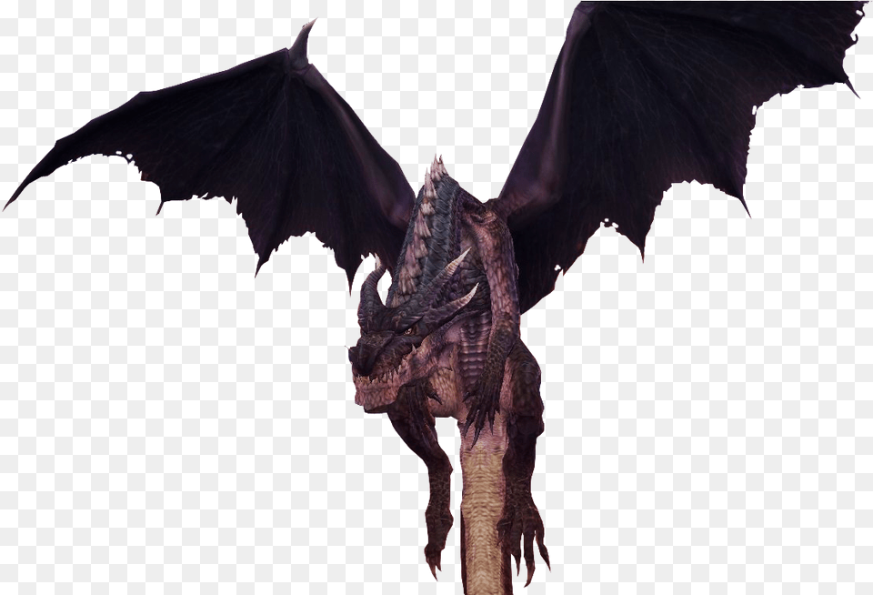 Img Monster Hunter Fatalis, Accessories, Dragon, Ornament Png Image