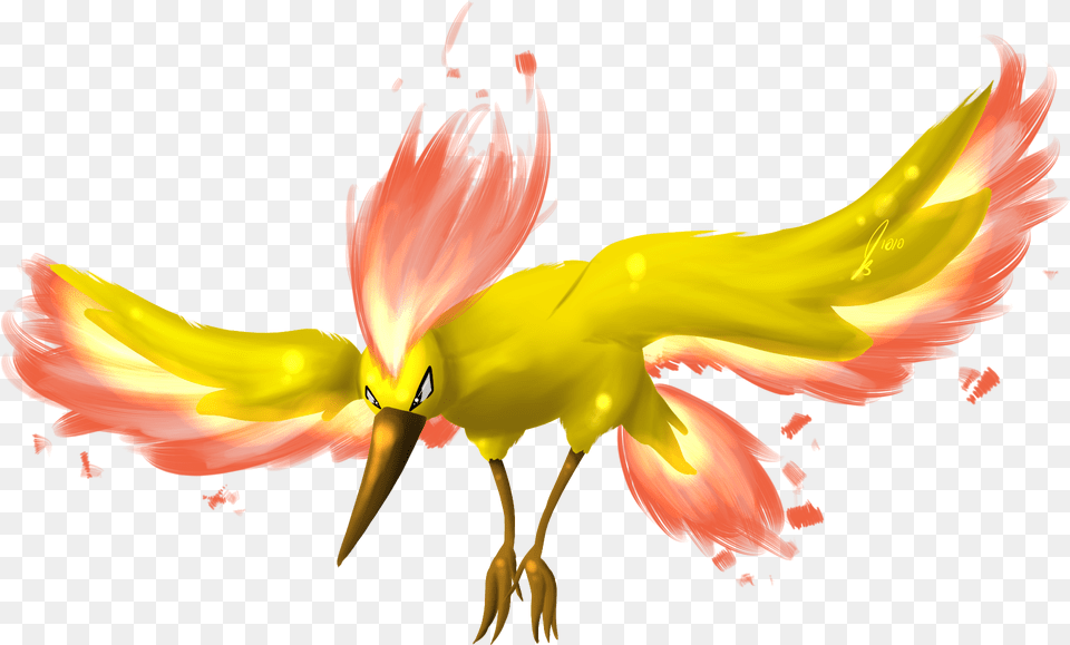 Img Pokemon Legendary Moltres, Animal, Beak, Bird, Plant Free Transparent Png