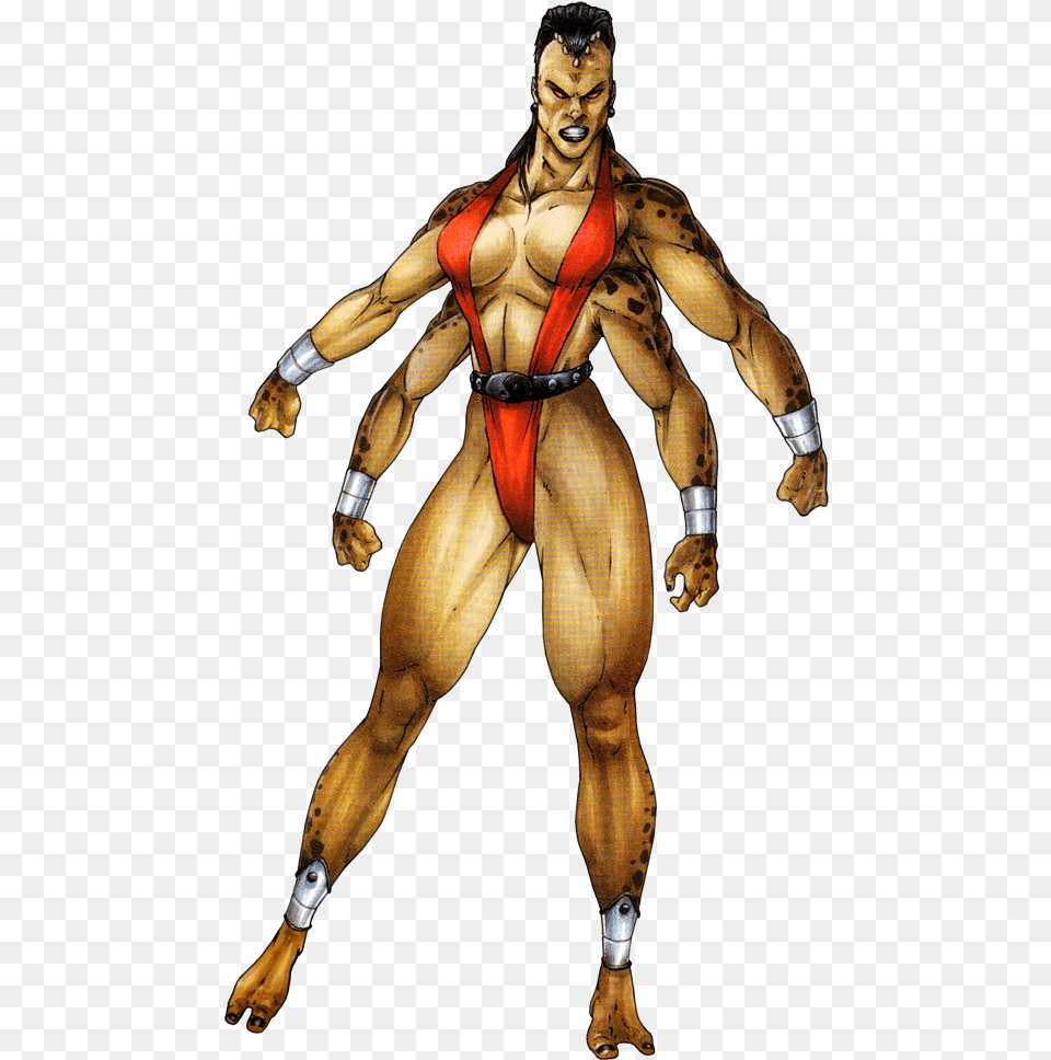 Img Sheba From Mortal Kombat, Adult, Female, Person, Woman Png Image