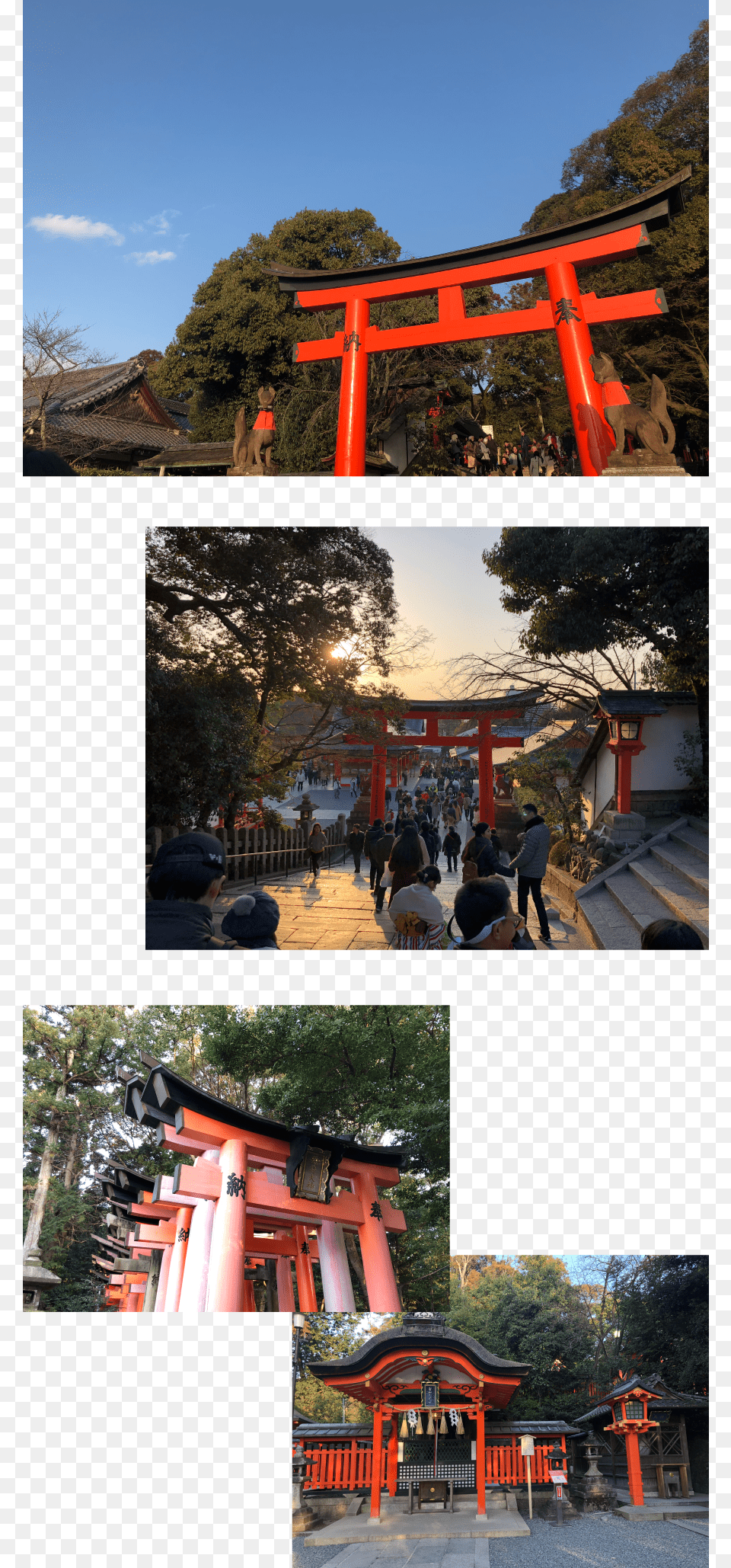 Img Torii, Person, Gate, Handbag, Accessories Free Png Download